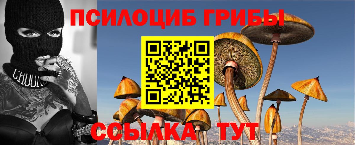 Галлюциногенные грибы MAGIC MUSHROOMS  Вход с VPN  Вятские Поляны 